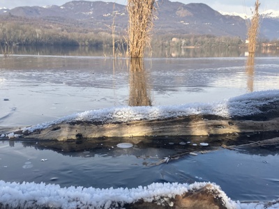 Giovedì 8 gennaio 2026. Al culmine dell\u0027ondata di freddo si registra una scarsa presenza di ghiaccio sul Lago Piccolo di Avigliana.
