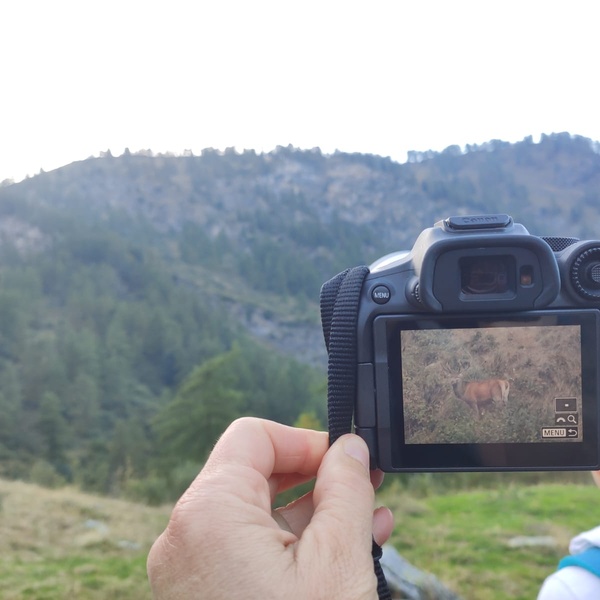 foto Chiara Bellando