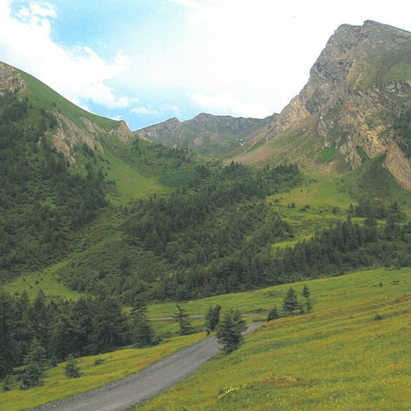 Carlei et Francaise Pelouxe