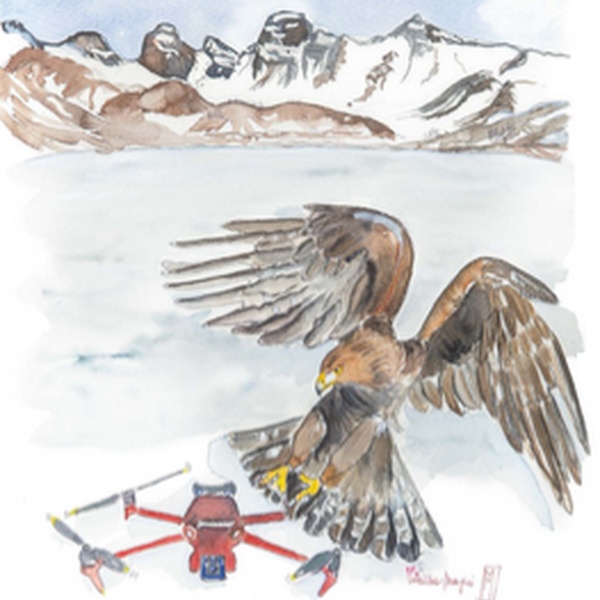 Impatto volo del drone