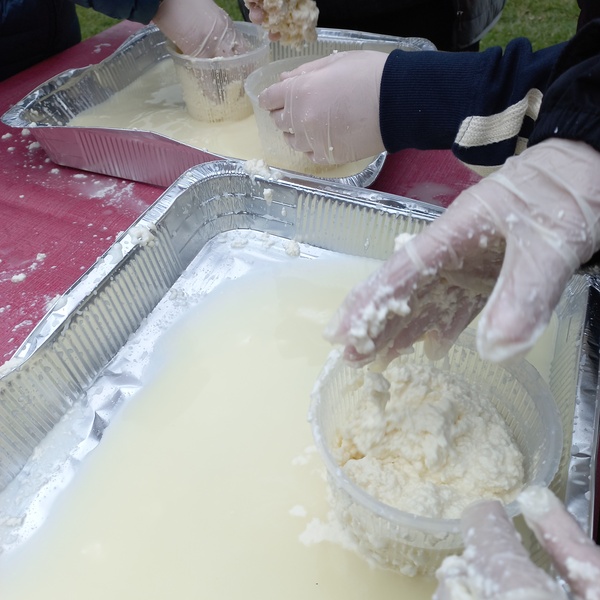 Laboratoire de fromagerie