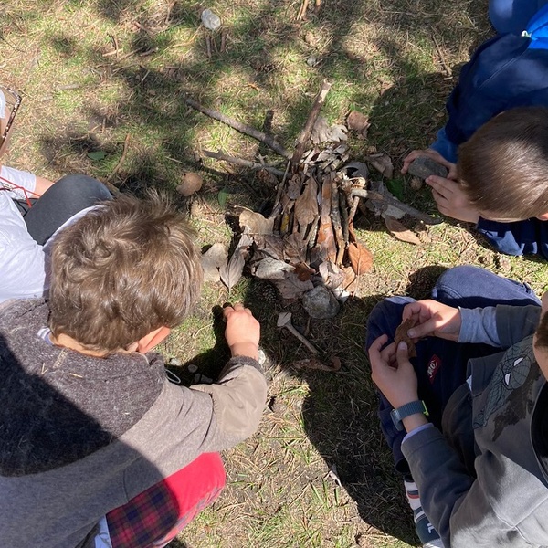 Les secrets de la Vieille Forêt