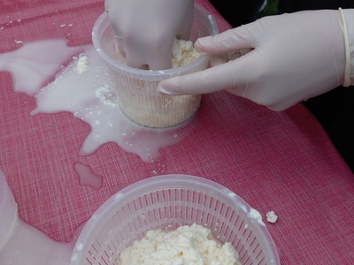 Laboratoire de fromagerie