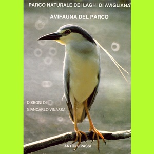 Avifauna del Parco. Uccelli del lago e della palude.