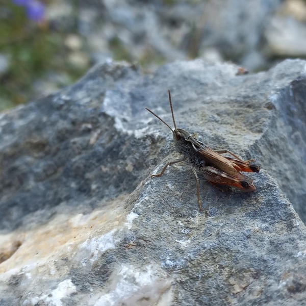 The farmhouse of Conca Cialancia