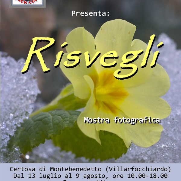 mostra