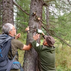 Monitoraggio Chirotteri