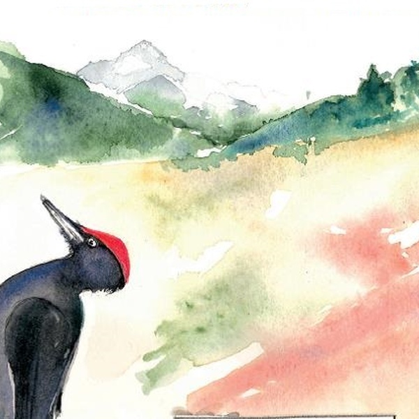 Valle Thuras \u002D sources ferrugineuses