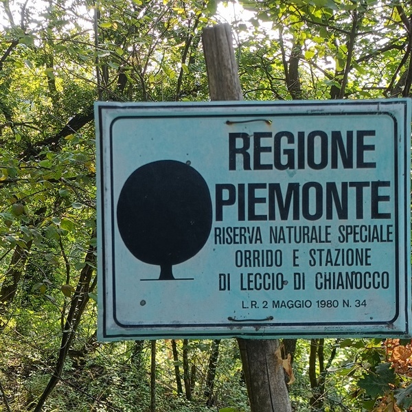 \u003Ctable\u003E\u000D\u000A  \u003Ctr\u003E\u000D\u000A    \u003Ctd\u003EFrontier Table\u003C/td\u003E\u000D\u000A  \u003C/tr\u003E\u000D\u000A  \u003Ctr\u003E\u000D\u000A    \u003Ctd\u003ENatural Reserve Orrido di Chianocco\u003C/td\u003E\u000D\u000A  \u003C/tr\u003E\u000D\u000A\u003C/table\u003E