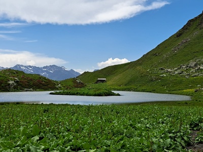 Lago Laus