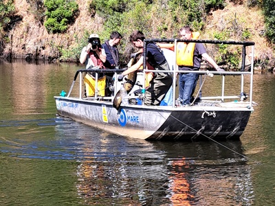 Una fase della sessione di pesca al pesce siluro.