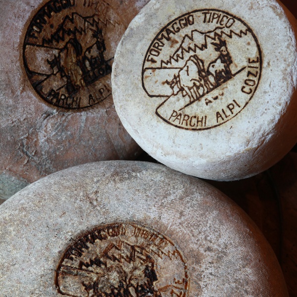 Formaggio Alpi Cozie
