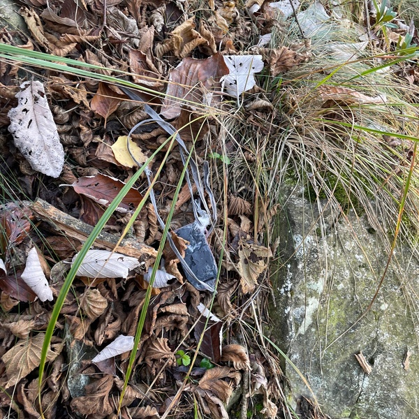 Emettitore satellitare ritrovato tra le foglie