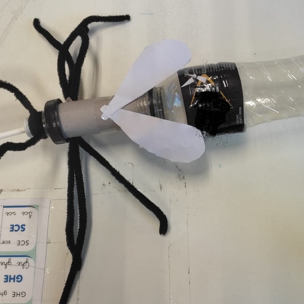 Laboratorio: costruiamo insieme una zanzara con materiale di riciclo
