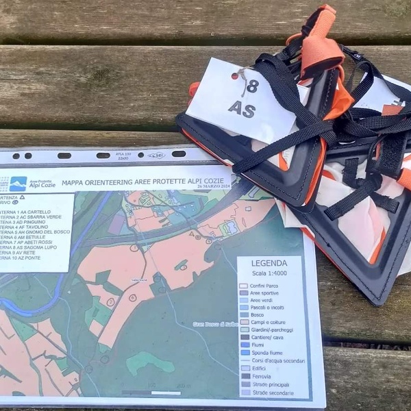 Orienteering \u002D Photo Susanna Mozzatto