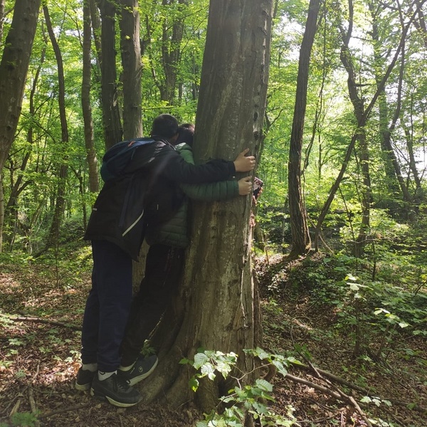 Il fil d\u0027Ariane