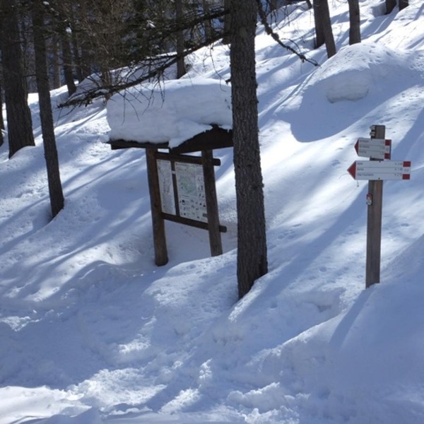 Itinerari nei Parchi Alpi Cozie