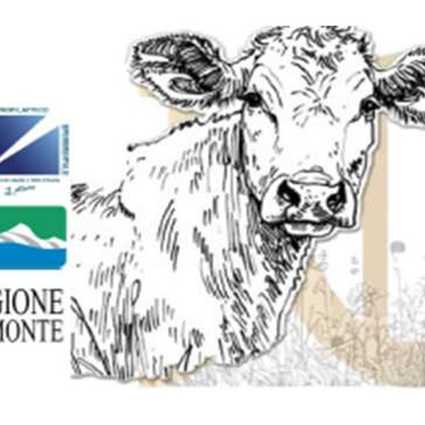 Il logo del progetto.