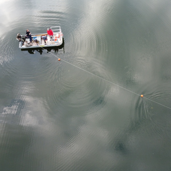 La pose des palangres.