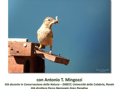 Locandina evento