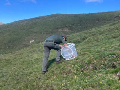 Il monitoraggio degli ortotteri con il tubo di cattura.