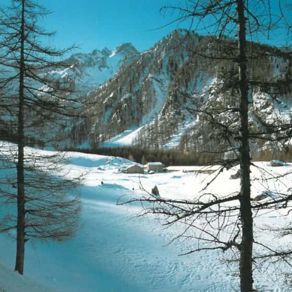 Alpeggio della Balmetta