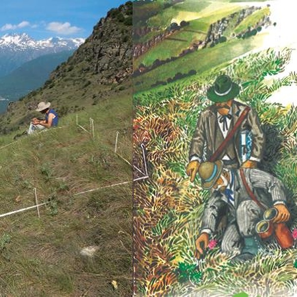 Botanistes aujourd\u0027hui et avant