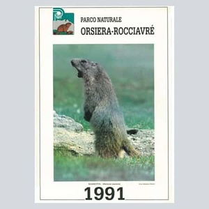Calendario 1991