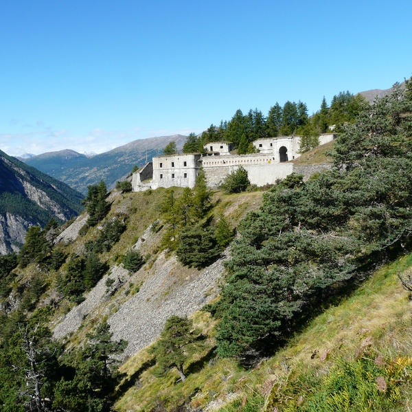 Fortificazioni nel parco