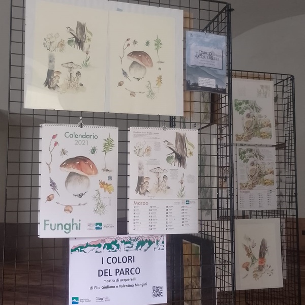 Mostra di acquerelli al Forte di Exilles