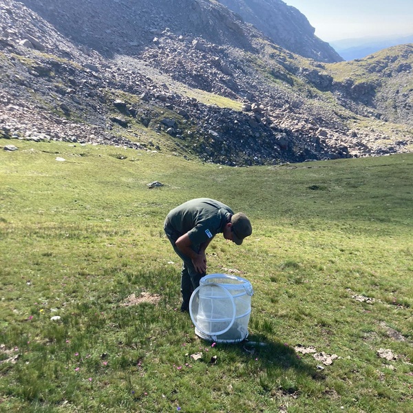 Il monitoraggio degli ortotteri con il tubo di cattura.