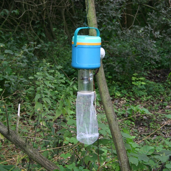Une trappe pour attraper les individus de moustiques à des fins scientifiques