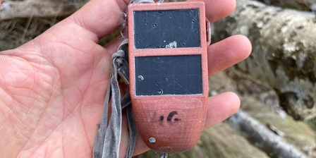 Emettitore satellitare