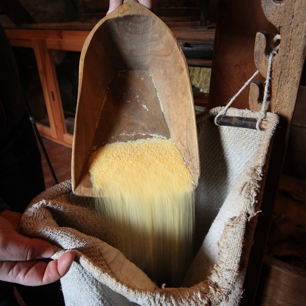 The miller\u0027s third hand