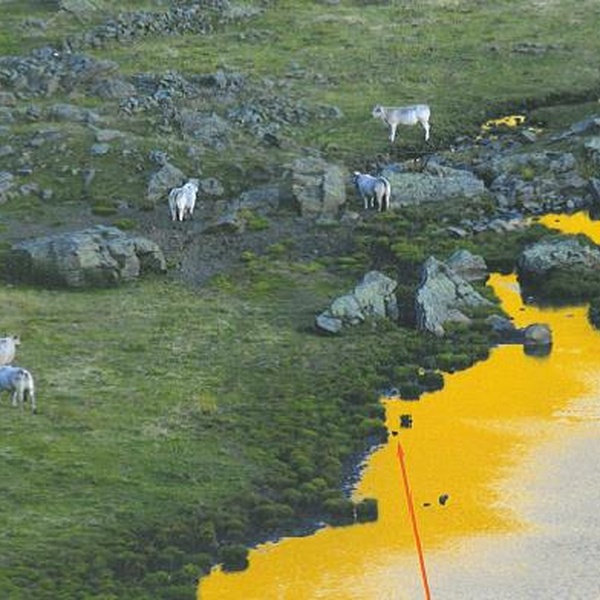 Dans l\u0027eau  \u002D lago Laus