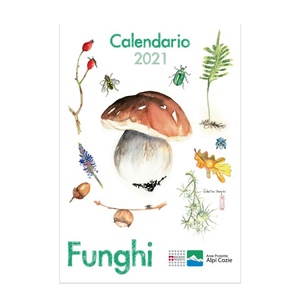 Calendario 2021
