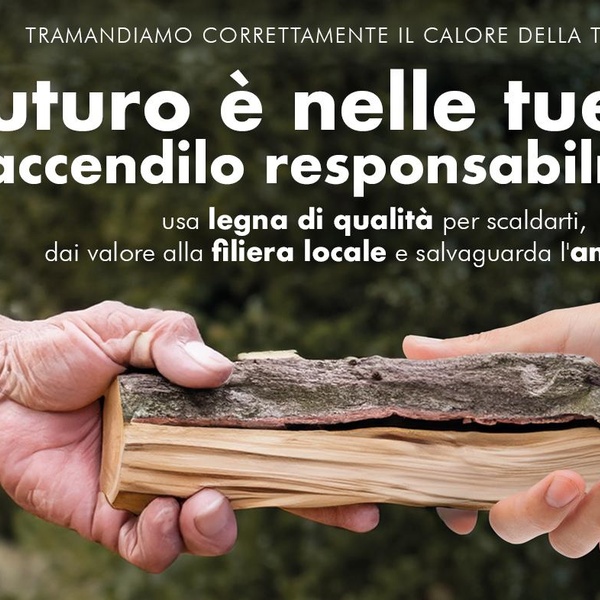 Cartolina della campagna di informazione e sensibilizzazione per usare bene la legna di qualità per scaldarsi e gestire in modo consapevole gli impianti a legna per fare efficienza energetica e tutelare l\u0027aria che respiriamo