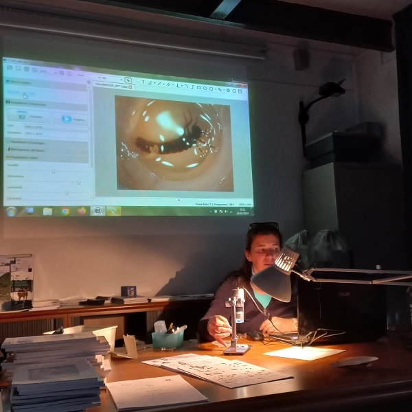 Laboratorio macroinvertebrati