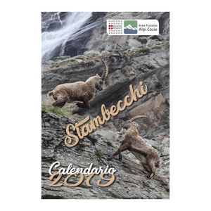 Calendario 2019