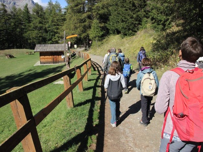 L\u0027entrée du Parc Naturel du Grand Bois de Salbertrand à Ser Blanc. Les routes dans cette partie de la zone protégée font partie du réseau routier ordinaire, mais la circulation des véhicules motorisés y est interdite car elles se trouvent à l\u0027intérieur du parc.