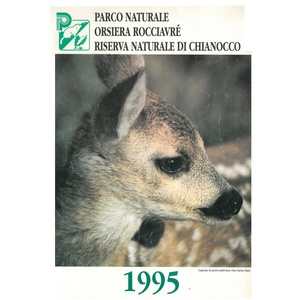 Calendario 1995