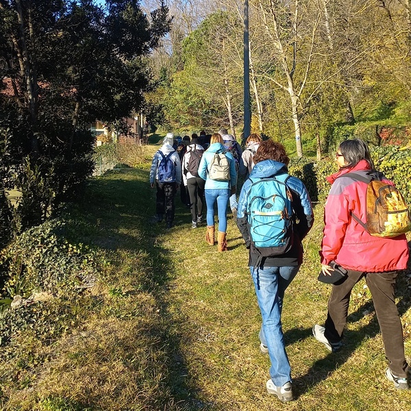 Avigliana\u0027s morainic hill trails