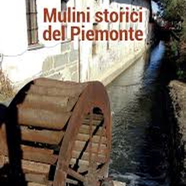 Copertina libro