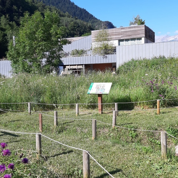Giardino delle farfalle