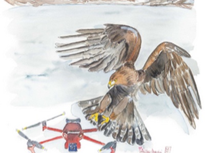 Impatto volo del drone