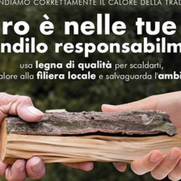 Cartolina della campagna di informazione e sensibilizzazione per usare bene la legna di qualità per scaldarsi e gestire in modo consapevole gli impianti a legna per fare efficienza energetica e tutelare l\u0027aria che respiriamo