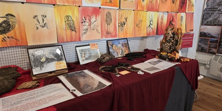 Messaggi silvani \u002D mostra d\u0027arte al Forte di Exilles