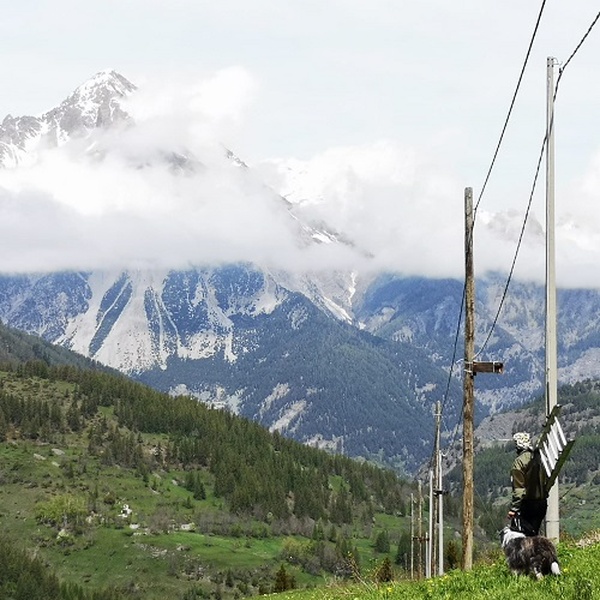 Cleaning sparrow\u0027s nest boxes \u002D Photo by Silvia Alberti