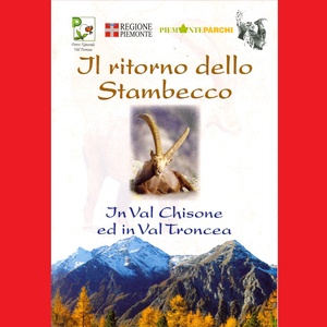 Il ritorno dello Stambecco in val Chisone e val Troncea