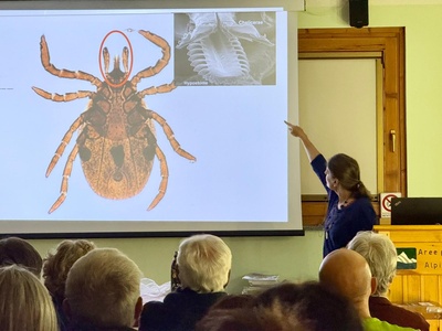 Serata de sensibilisation sur le projet \u0022Zecche\u0022